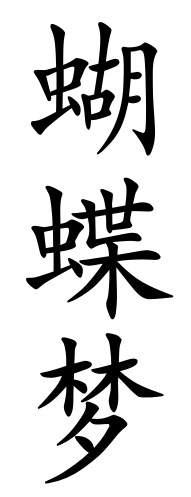 Chinese script for "Butterfly Dreams"