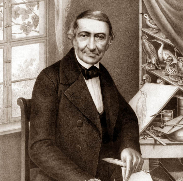 Johann Friedrich Naumann